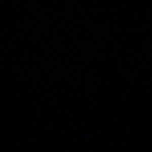 Meet your Posher, Corey